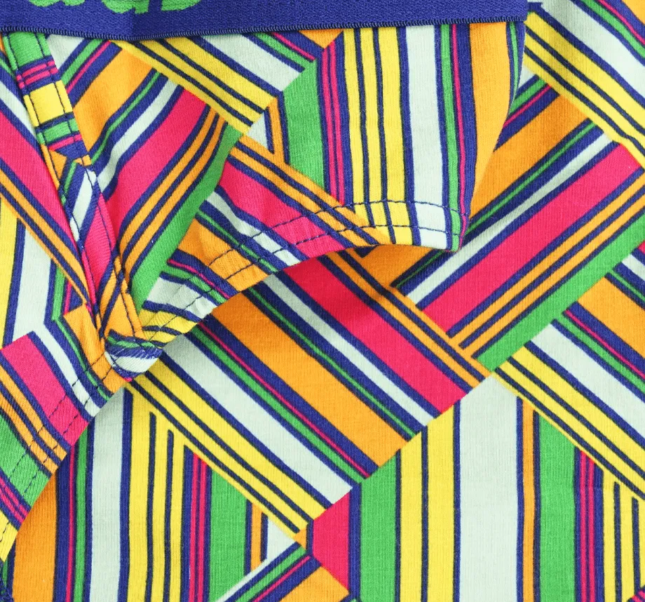 Chameleon - Mens Briefs