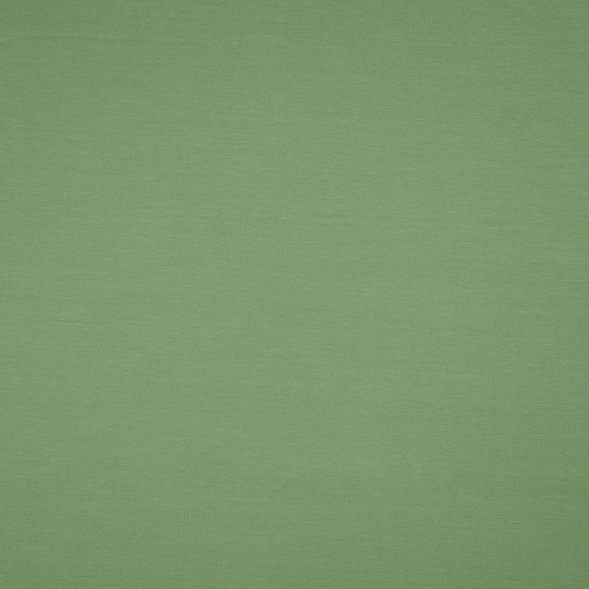 Essential Chic Avocado Green Plain Cotton Jersey Fabric