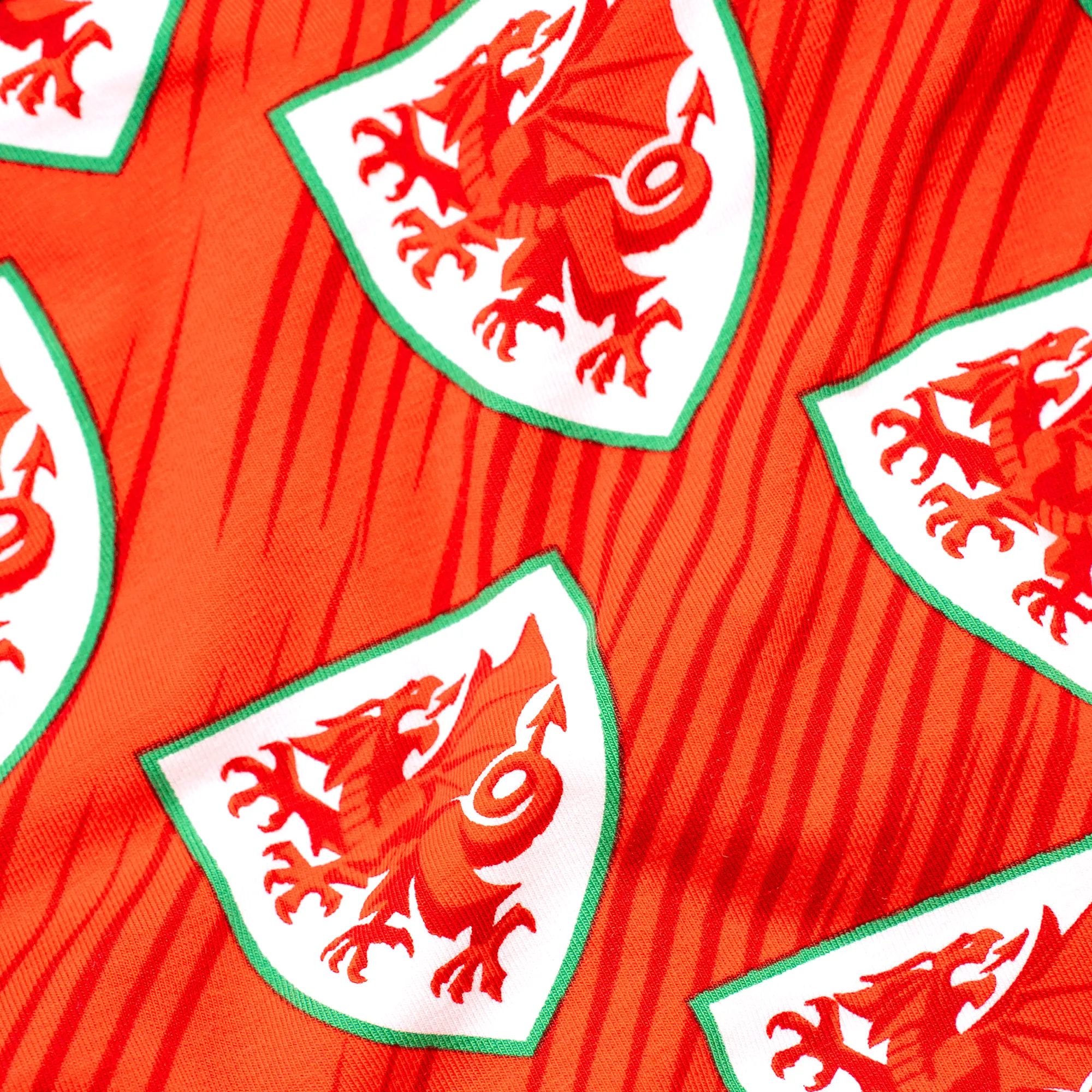 FA Wales - Home - Mens Briefs