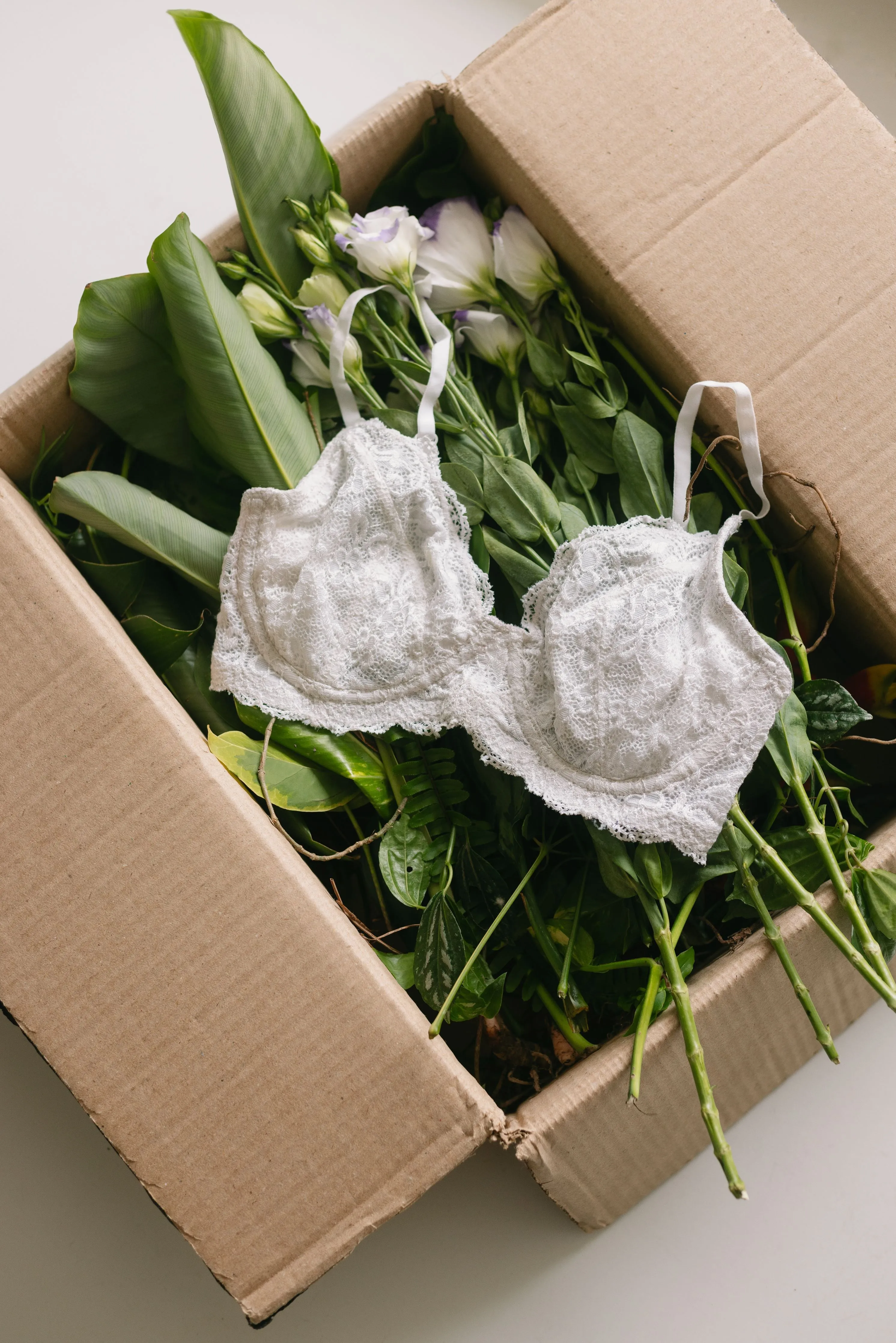 Nyla White Underwired Cotton Lace Bra