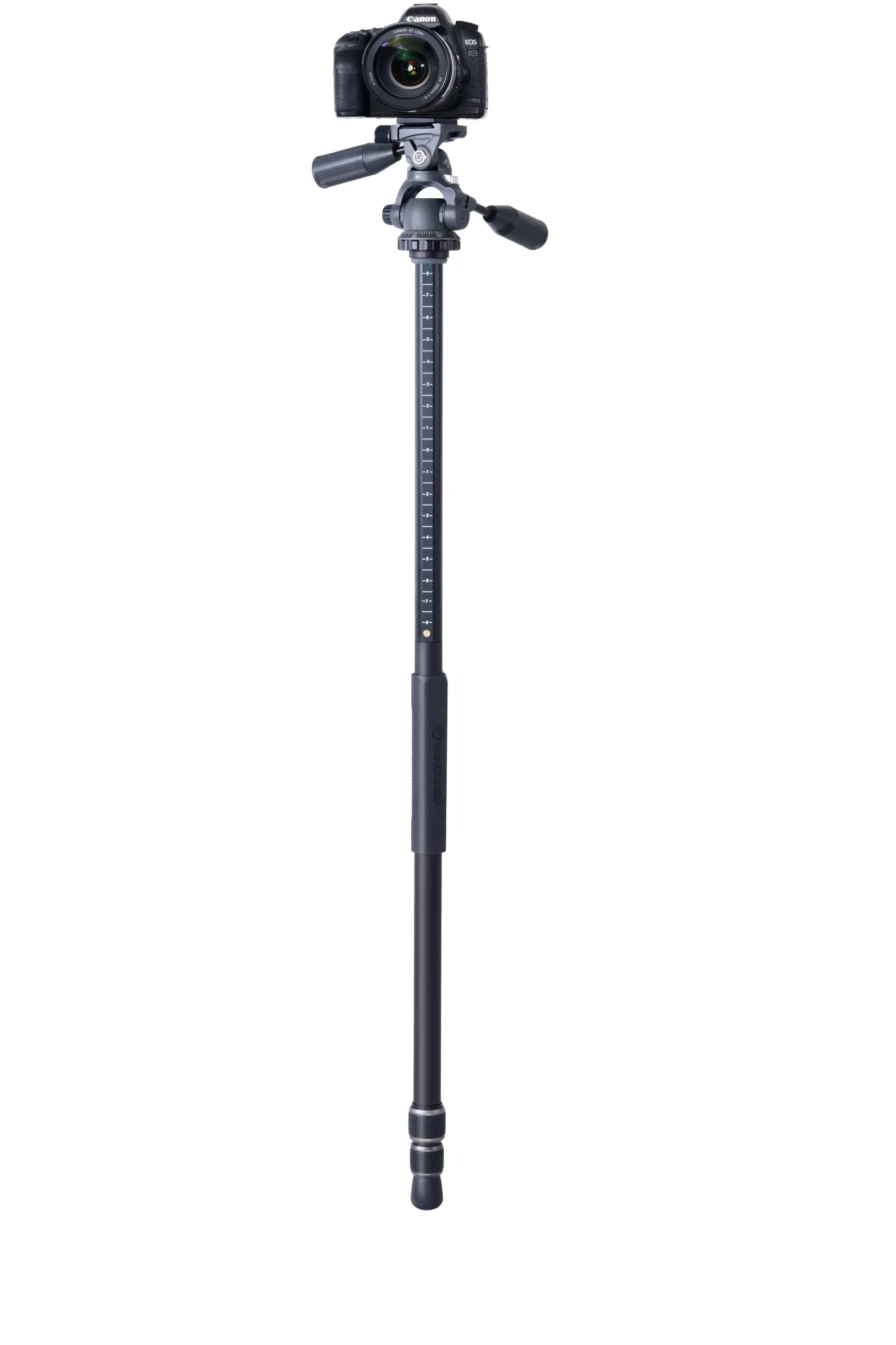 VEO 3  263AP | Professional  Aluminum Tripod with Panhead | Overhead Shooting